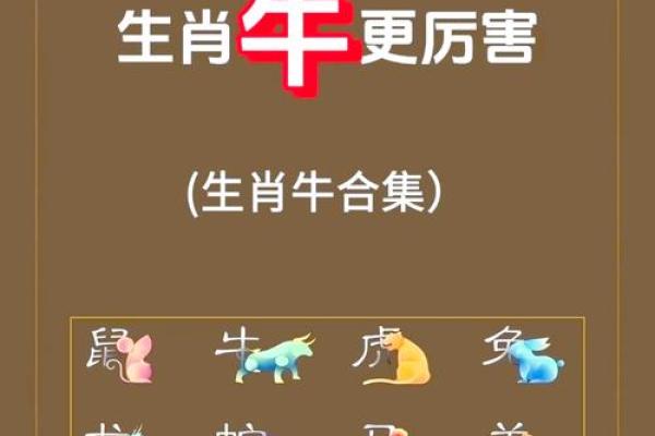 丑牛财运分析：看看今年生肖牛如何把握财富机遇