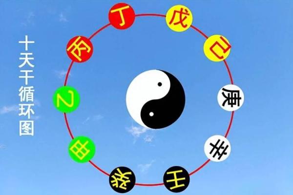 生肖混战，地支争霸赛：谁主沉浮？