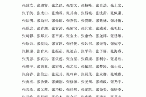 张氏宝宝名精选