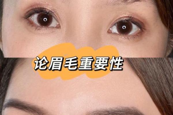 短眉女性面相之谜