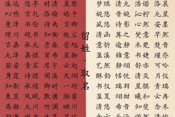鲍氏宝宝名字灵感荟萃