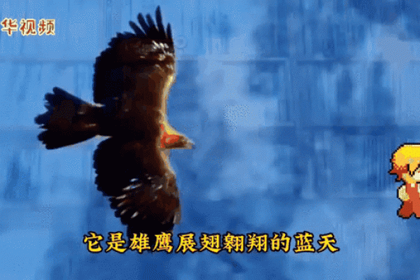 陈健姓名运势：健行如鹰，展翅翱翔