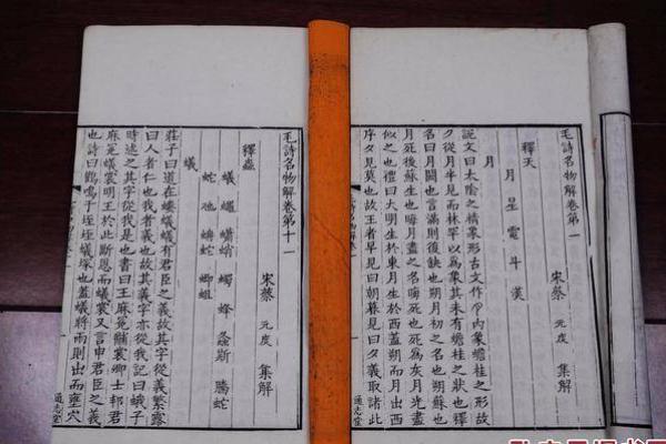 姓名解码：探寻你名字背后的运势奥秘
