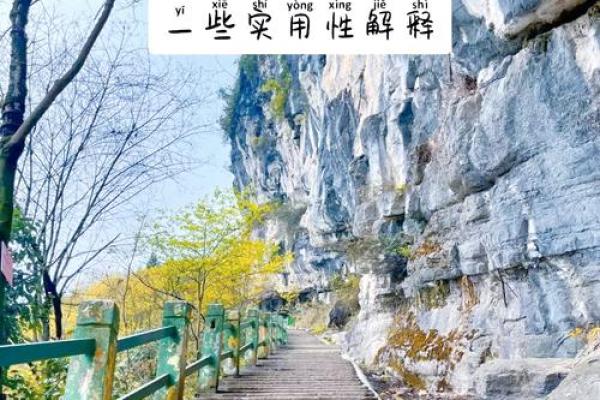 命理之谜：白毛手臂暗示什么？揭秘你的命运走向！