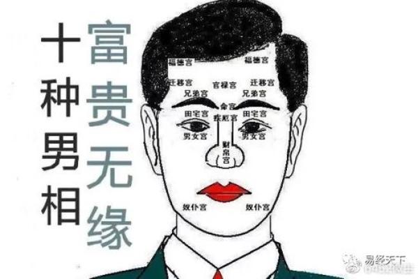 面相精舍宫：揭秘面相中的财富密码