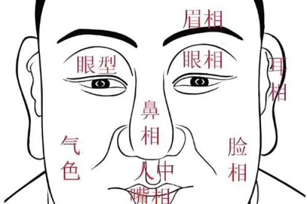 识人术：一眼看穿申由面相，揭秘你的运势与性格！