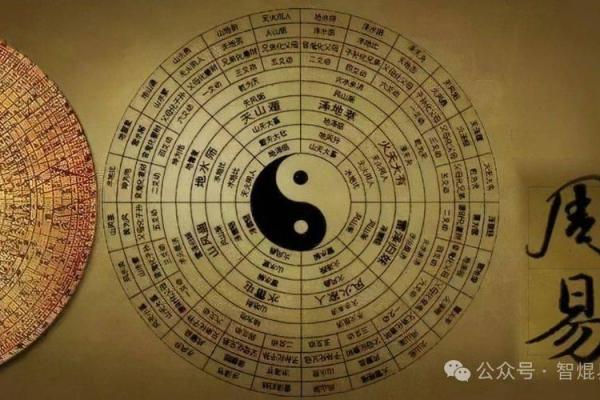地支宜忌日表，让你的每一天都充满正能量