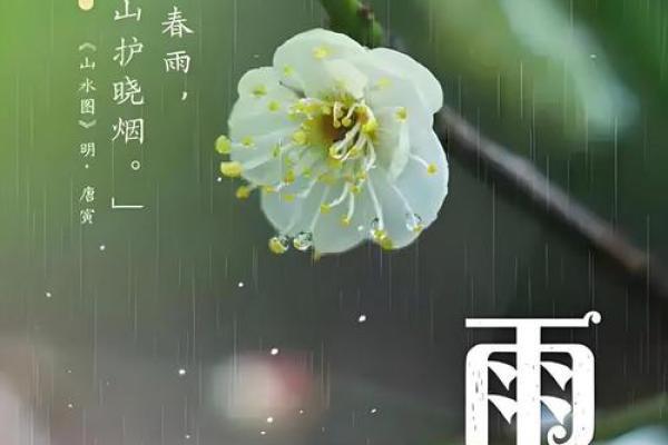 何雨行：雨润万物，何其行远——诗意人生，好运连连