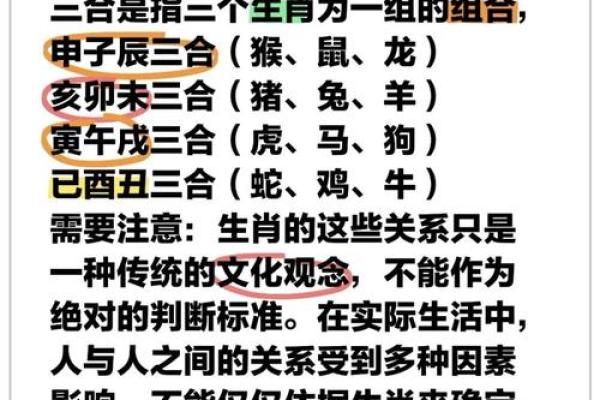生肖配对指南：合冲关系影响你的一生