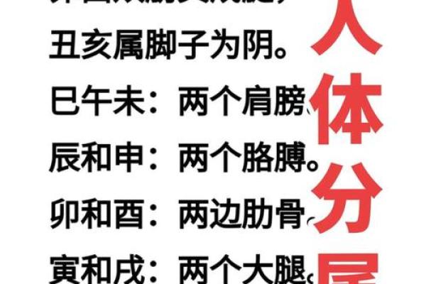 生辰八字与算命的奥秘探究