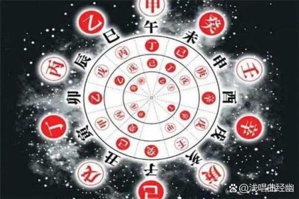 地支官星影响，揭秘你的运势密码