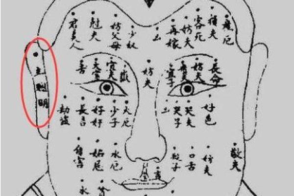 人头痣相揭秘：命运密码，一痣定终身？