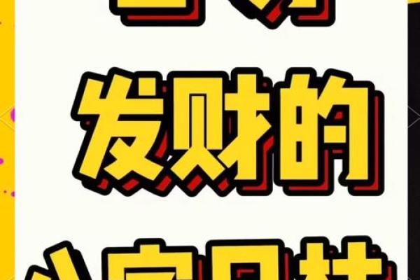 地支风水宝典，财运亨通必备指南