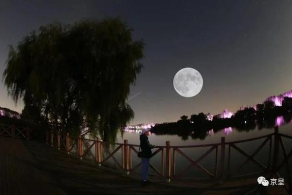 烟火璀璨，中秋之夜赏明月