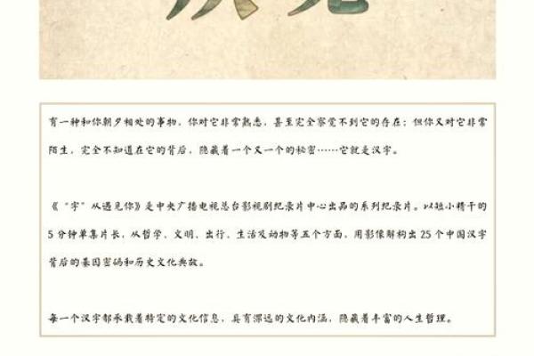 舟字五行属性解析