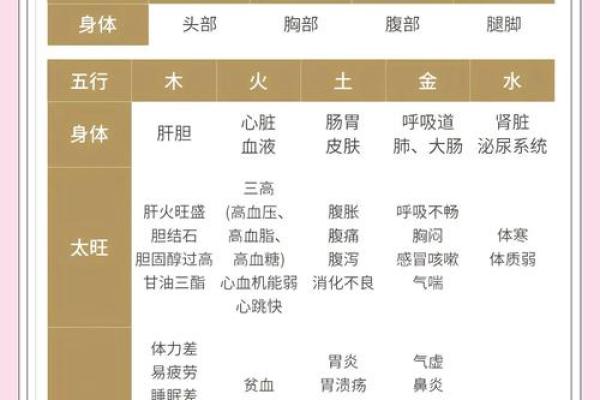 如何理解生五行属性在生活中的作用