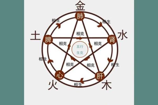 如何理解生五行属性在生活中的作用