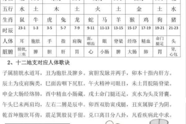 离卦地支：揭秘古老智慧中的神秘力量