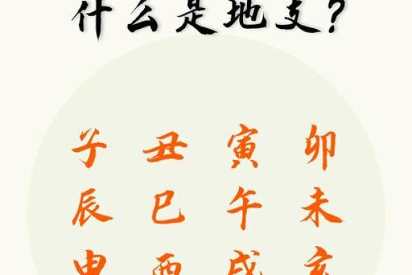 离卦地支：揭秘古老智慧中的神秘力量