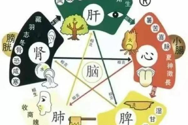 珩五行：如何平衡五行能量达到内外和谐