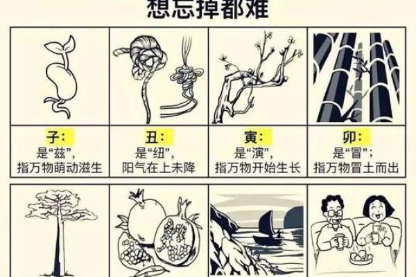 地支阴阳奥秘，掌握运势转运之道