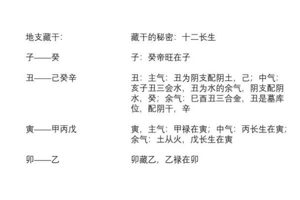 地支阴阳奥秘，掌握运势转运之道