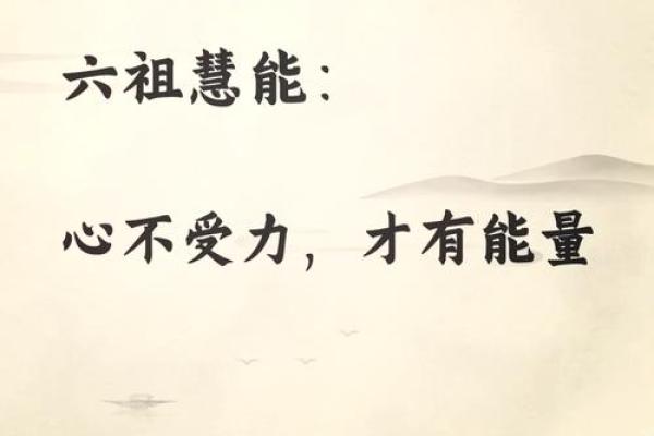 慧心轩——名字中的智慧之兿