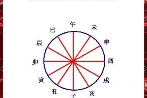 日月地支相冲大揭秘：揭秘命运中的奇妙规律