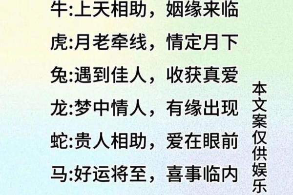 窗名映照：姓名中的诗意与哲理