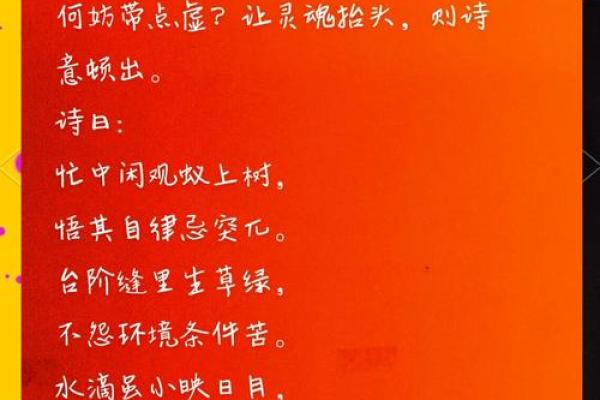 窗名映照：姓名中的诗意与哲理