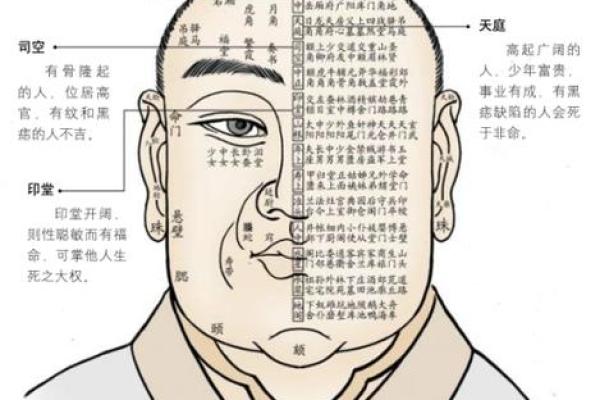 胡子浓密面相解析：男性魅力与运势的密语