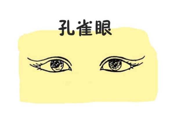 豹眼神采，面相非凡！