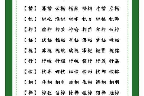 翟姓宝宝取名字推荐：优雅与寓意兼备的名字选择