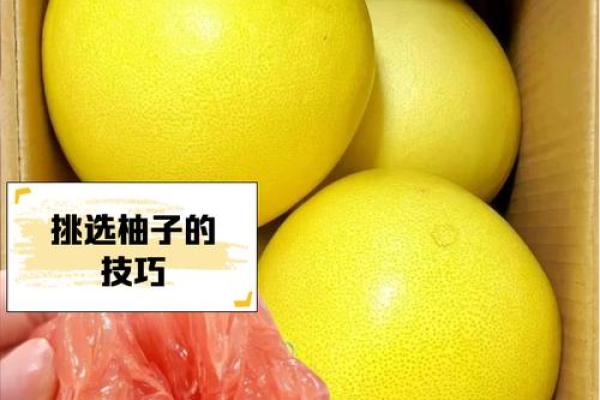 柚子的五行分类与意义