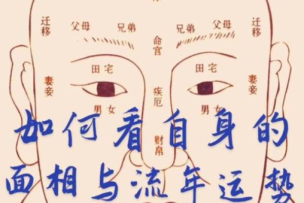 面相解码：洞察命运与智慧的秘密