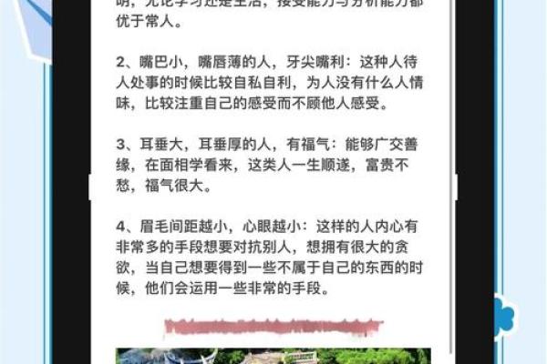 面相解码：洞察命运与智慧的秘密