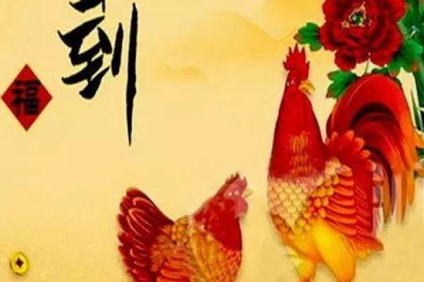 金鸡送福罗家新生儿美名精选