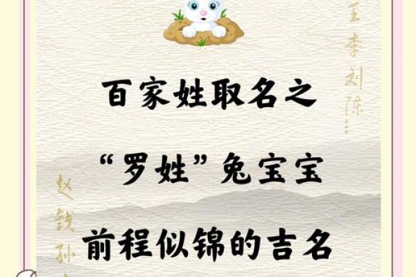 时尚罗姓男宝宝名字推荐：优雅大方，寓意深远