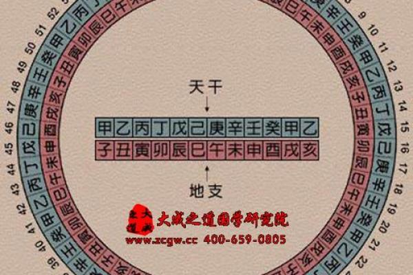 地支丈夫宫深度解析：揭秘你的婚姻幸福密码