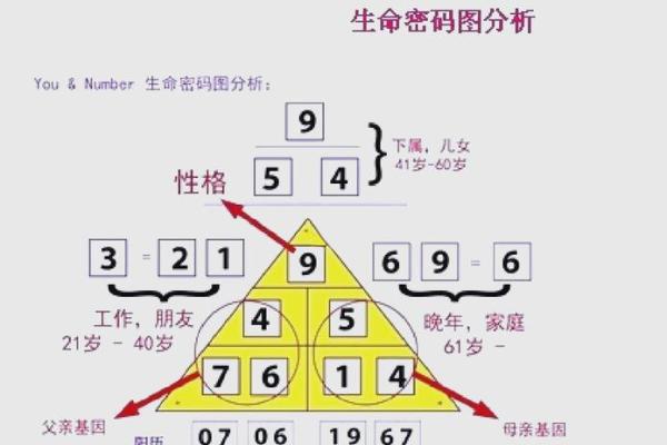 流年地支：揭秘命运密码的神奇轮回