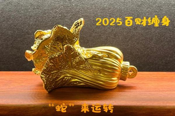 风水大师推荐，店铺财运亨通招财挂件