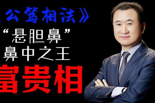鼻若悬胆，富贵吉祥：揭秘面相中的黄金鼻型之谜