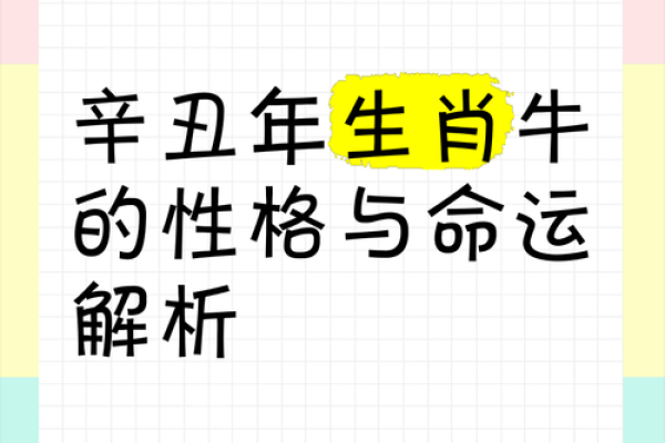 属牛五行属性与命理深度解析