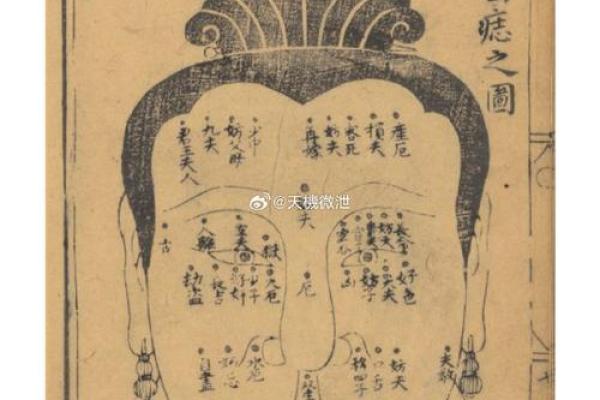 面相解码：女性婚姻吉凶，一眼看穿幸福密码！