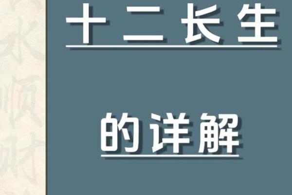 恋爱攻略：十二长生教你找到真爱
