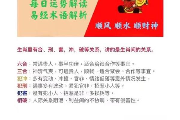尚字尚五字行五分析行与分析命与理解读命理解读