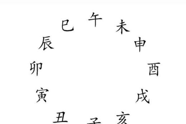 十二地支配对术，揭开你的命中佳人