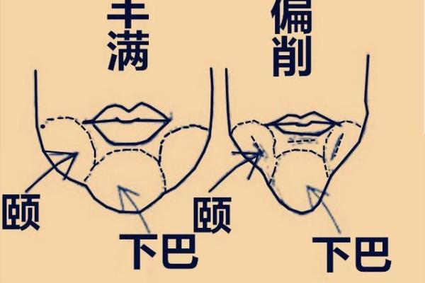 面相解码：奉子成婚的神秘面相特征