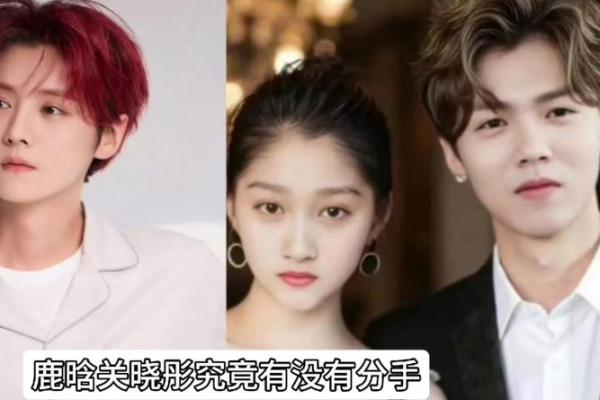鹿晗另一半的生辰八字对婚姻的影响