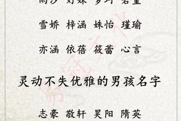 名字里的温馨与灵动：骆宝宝取名宝典